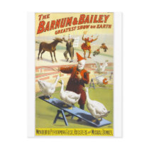 The Barnum & Bailey Circus Post Cards