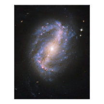 The Barred Spiral Galaxy NGC 6217 Photo