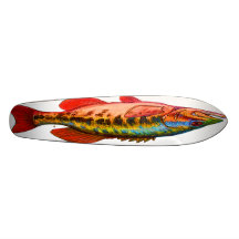 The bass skateboard