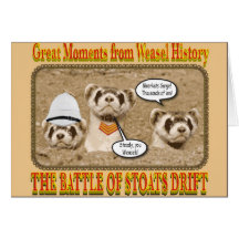 The Battle of Stoats Drift Notecard