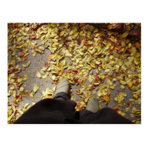 The Beauties of Fall Post Card