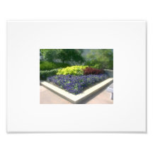 The Beautiful Out Doors Art Photo