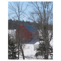 THE BEAUTIFUL RED BARN FLYER DESIGN