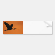 The Beauty of Curves Bumper Sticker