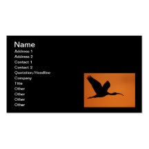 The Beauty of Curves Business Card