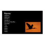 The Beauty of Curves Business Cards
