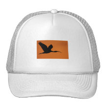 The Beauty of Curves Hat