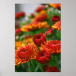 The Beauty of Fall Print