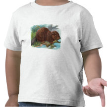 "The Beaver" Vintage Illustration T Shirt