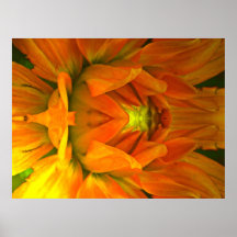 The begining print