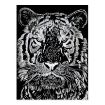 The Bengal Boy Postcard