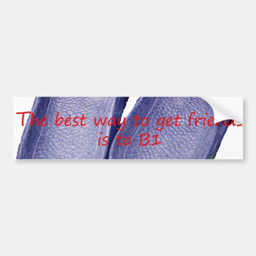The Best Way to Get Friends is to B1 Bumper Sticker