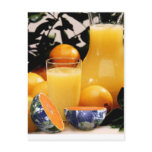 The Big Squeeze Postcards