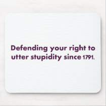 The Bill of Rights is an important document