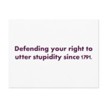 The Bill of Rights is an important document