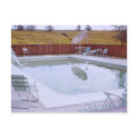 The Biltmore Pool Postcard