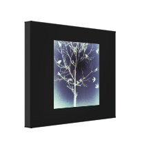 The Birds Canvas Prints