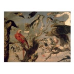 The Bird's Concert Post Card