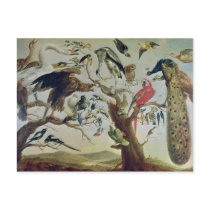 The Bird's Concert postcards