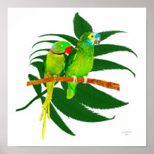 The Birds Poster