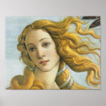 The Birth of Venus (detail) Posters
