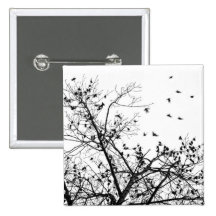 the black birds buttons