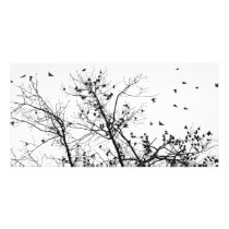 the black birds photo card