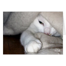 The Blanket Game, S Cyr Greeting Cards