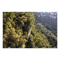 The Blue Mountains, New South Wales, Australia Photograph