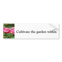 The Boboli Gardens, Florence Italy Bumper Sticker