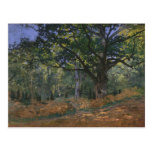 The Bodmer Oak, Fontainebleau Forest, Claude Monet Postcard