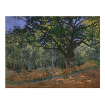 The Bodmer Oak, Fontainebleau Forest, Claude Monet Postcard