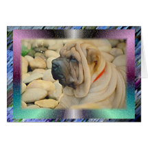 The Bond With A True Dog Greeting Card