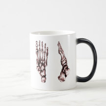 The bones of the human foot coffee mug