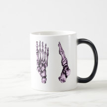 The bones of the human foot coffee mug