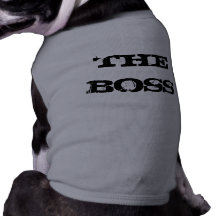 THE BOSS DOG CLOTHES