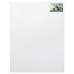 "The Boss" Squirrel letterhead