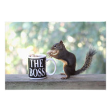 "The Boss" Squirrel Photo Art
