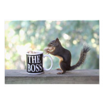 "The Boss" Squirrel Photo Art