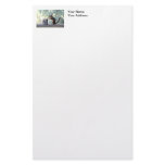 "The Boss" Squirrel stationery