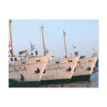 The bows of 3 ships in Istanbul Postcard