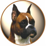 The Boxer Dog Acrylic Cut Outs