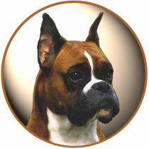 The Boxer Dog Acrylic Cut Outs