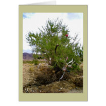 The Bra Bush Note Card