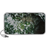 the branch speaker
