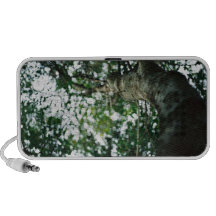the branch speaker