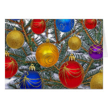 The Branches Card