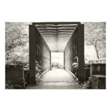 The Bridge Art Photo