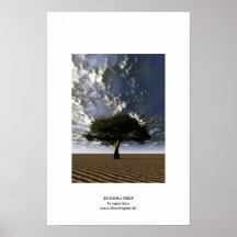 THE BUDDHA TREE POSTER