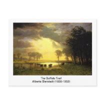 The Buffalo Trail,  Albert Bierstadt Postcard